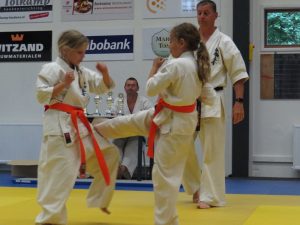 2015 vierkamp karate 444