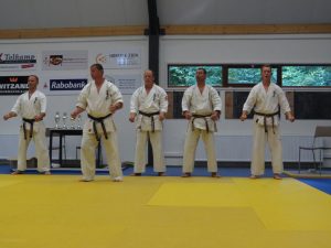 2015 vierkamp karate 490